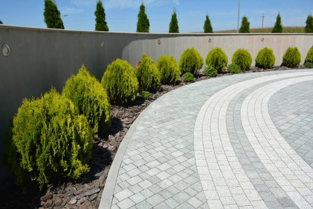 Best Decorative Driveway Pavers  in Shpee Neck, MA